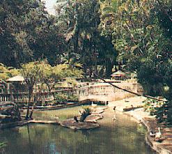 Parque Arruda Cmara