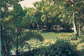 Parque Arruda Cmara