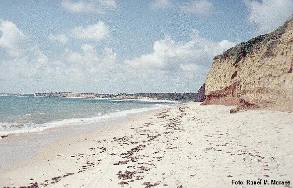 Praia de Jacarap